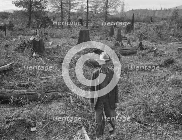 Ex-Nebraska farmer and the piece of land which he hopes..., Bonner County, Idaho, 1939. Creator: Dorothea Lange.