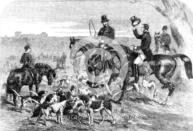 H.R.H. Prince Albert's Harriers, 1856.  Creator: Harrison Weir.