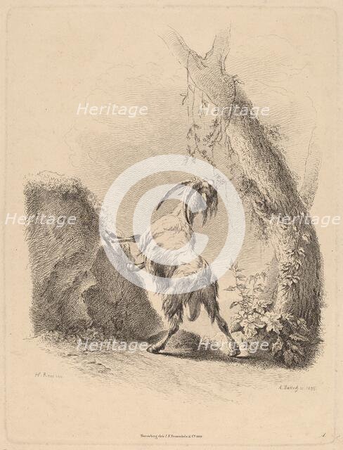 Goat in a Landscape, 1805. Creator: Adam von Bartsch.