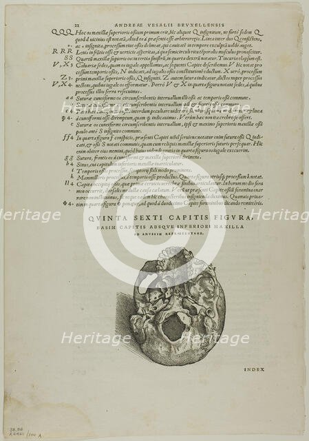 Leaf from De humani corporis fabrica (skull), plate 100 from Woodcuts from Books...1937. Creators: Johannes Stephan van Calcar, Max Geisberg.