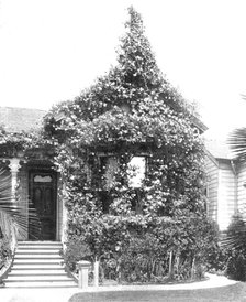 Rose Cottage, South Spring Street, Los Angeles, California, USA, c1900. Creator: Unknown.