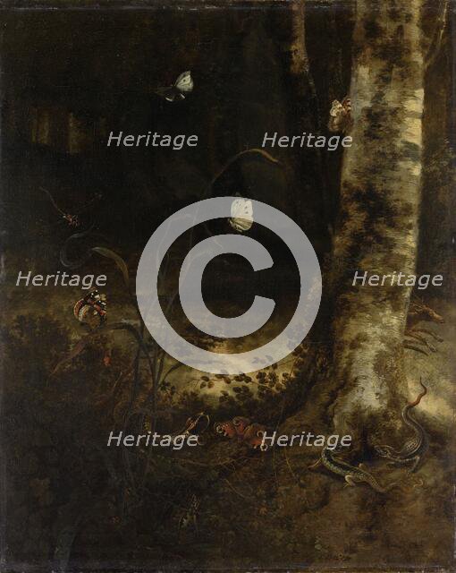 Forest Floor with a Snake, Lizards, Butterflies and other Insects, 1650-1678. Creator: Otto Marseus van Schrieck.