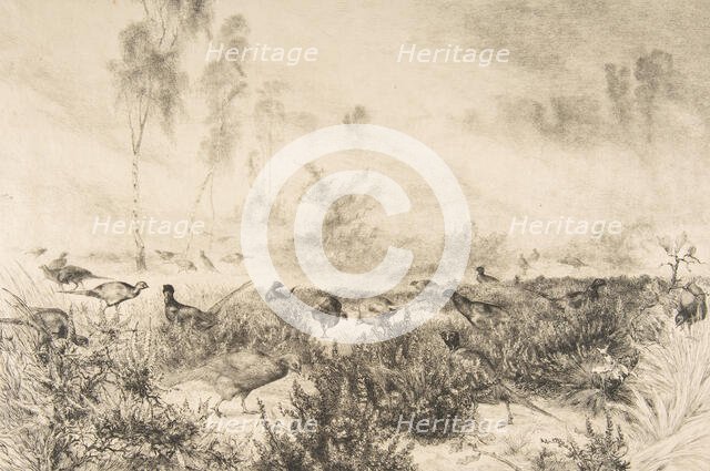 Brumes du matin, 1882. Creator: Felix Bracquemond.