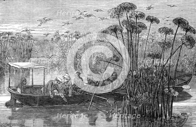 At the mouth of the Rusizi, Lake Tanganyika, 1872. Creator: J. B. Zwicken.