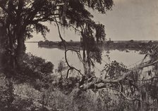 Savanah River, Near Savanah, Georgia, 1860s. Creator: George N. Barnard.