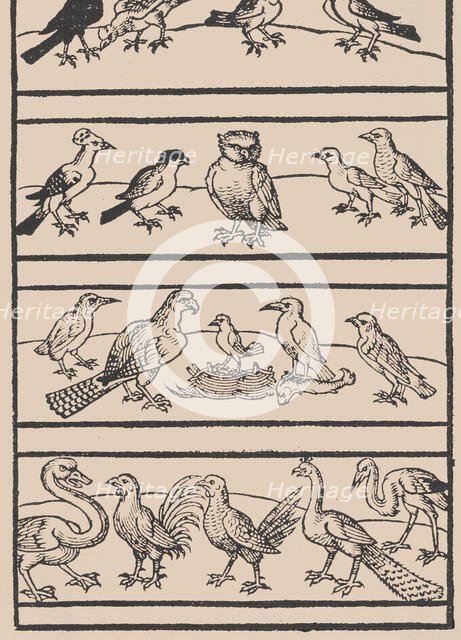 Page from Ein new kunstlich Modelbuch...(Page 8r), 1544., 1544. Creator: Peter Quentel.