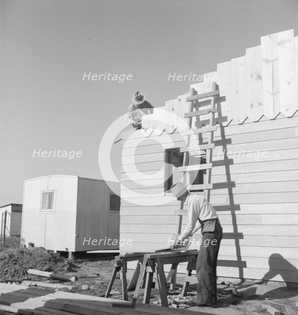 Father and son, recent migrants to California, building house, Salinas, California, 1939. Creator: Dorothea Lange.