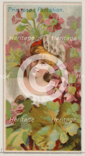 Primrose: Flirtation, from the series Floral Beauties and Language of Flowers (N75) for Du..., 1892. Creator: Donaldson Brothers.