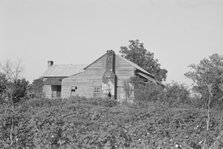 A sharecropper's buildings and fields, Hale County, Alabama, 1936. Creator: Walker Evans.