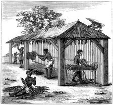 Tobacco preparation, 1873. Artist: Unknown