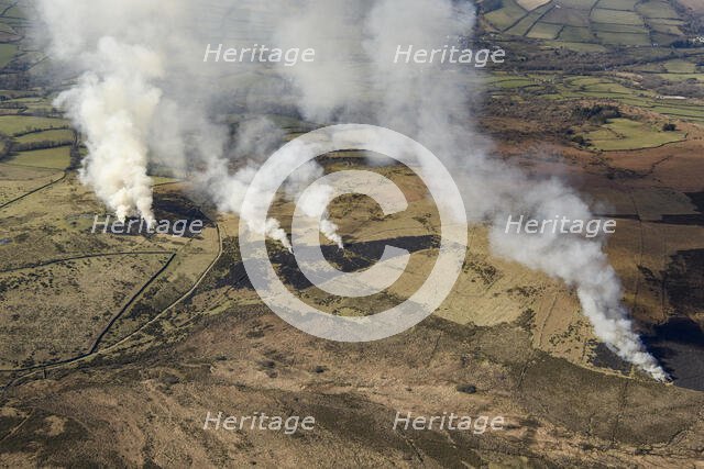 Bracken or gorse burning, known as swaling, on Dartmoor, Devon, 2025. Creator: Damian Grady.