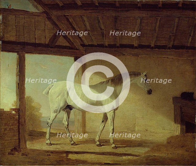 The Earl of Coventry's Horse, 1805. Creator: Benjamin Marshall.
