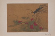 Grasshopper on Rock, 15th century. Creator: Wen Liang.