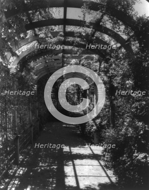 York Cottage, York Hall, York Co., Virginia, interior of arbor, between 1905 and 1933. Creator: Frances Benjamin Johnston.