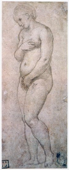 'Study of Venus', c1500-1520. Artist: Raphael