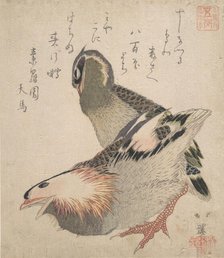 Two Birds. Creator: Totoya Hokkei.