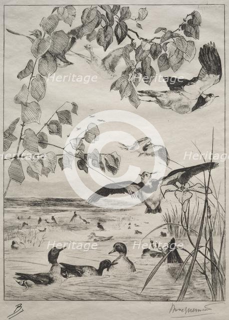 Lapwings and Teals, 1862. Creator: Félix Bracquemond (French, 1833-1914); Alfred Cadart.