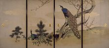 Peacock and Peahen with Flowering Prunus, c1840-1850. Creator: Mori Ippô.