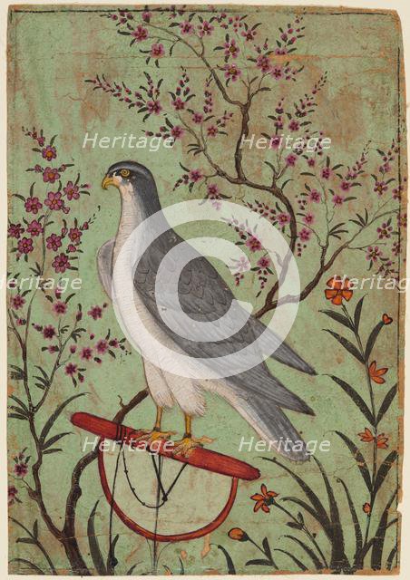 Falcon on a Perch, c. 1610. Creator: Unknown.