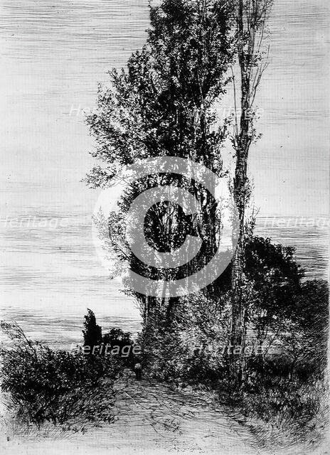 Poplars, c1898. Creator: Peter von Halm.