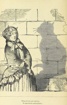 What I hate are tabbies, in spectacles and mittens, 1875.  Creator: Unknown.