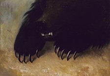 Weapons and Physiognomy of the Grizzly Bear, 1846-1848. Creator: George Catlin.