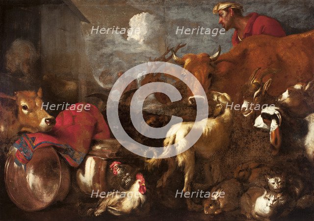 The Animals Board Noah's Ark.