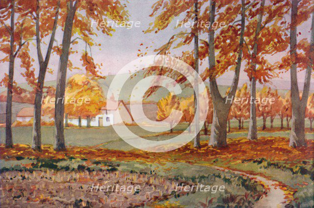 'Autumn - The Physical, Chemical and Biological Changes Wrought By The Sun During The Year', 1935. Artist: Unknown.