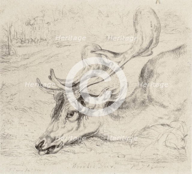 Wounded Deer, 1824. Creator: John Frederick Lewis.