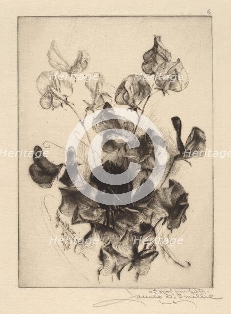 Sweet Peas, 1891. Creator: James David Smillie.