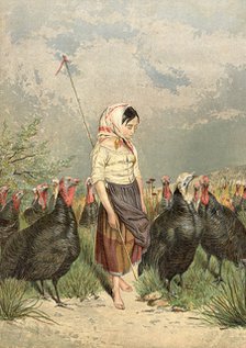 'The Turkey Guardian', 1858. Artist: Unknown