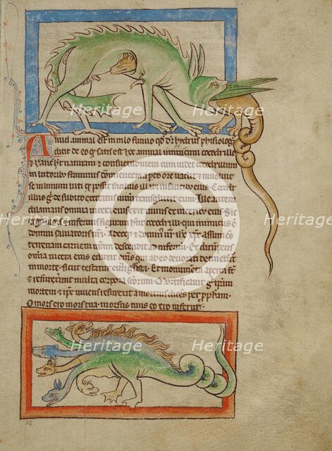 A Hydrus; A Hydra; Northumberland Bestiary, about 1250-1260. Creator: Unknown.