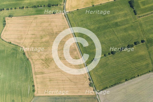 Cropmarks of an Iron Age or Roman field system and settlement near South Duffield, North Yorks, 2022 Creator: Robyn Andrews.