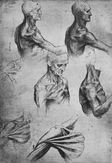 'Studies of the Head and Shoulders of a Man', c1480 (1945). Artist: Leonardo da Vinci.