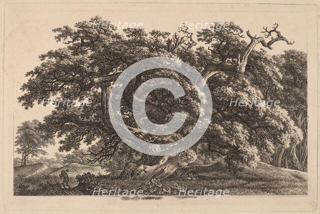 A Widely Expanding Oak Tree, 1825/1830. Creator: Carl Wilhelm Kolbe the elder.