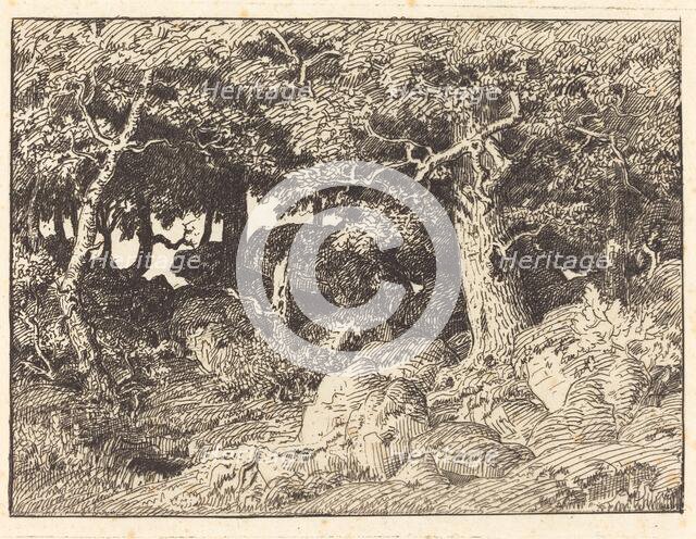 Rock Oaks, 1861. Creator: Theodore Rousseau.