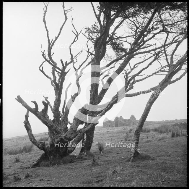 Powder Mills, Dartmoor, Devon, 1967. Creator: Eileen Deste.