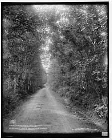 Lover's [sic] Lane at Maplewood, Bethlehem, White Mountains, c1901. Creator: Unknown.