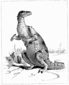 Iguanodon, 1895. Artist: Unknown