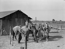 Chris Adolf, his team, and six of his children on their new farm, Washington, Yakima Valley, 1939. Creator: Dorothea Lange.