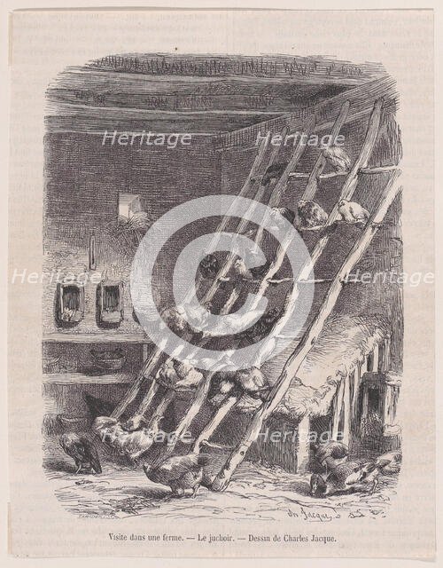 Visit to a Farm - The Roost, from "Le Magasin Pittoresque", ca. 1852. Creator: Charles Tamisier.