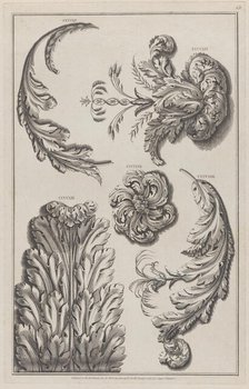 Varieties of Leaf Ornament, nos. CCCCLV-CCCCLIX ("Designs for Various Ornaments," pl. 68),..., 1801. Creator: After Michelangelo Pergolesi.