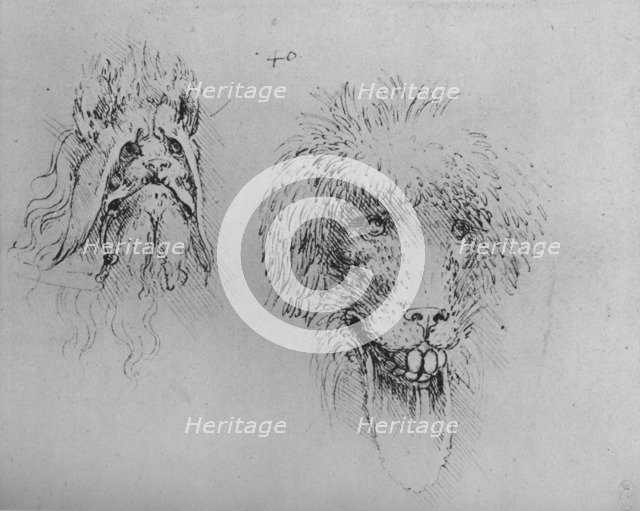 Two Heads of Monsters', c1480 (1945). Artist: Leonardo da Vinci.