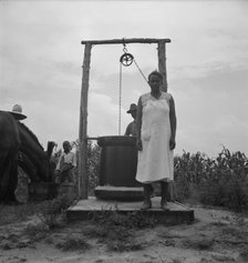 Possibly: Negro sharecropper tobacco farm, Person County, North Carolina, 1939. Creator: Dorothea Lange.