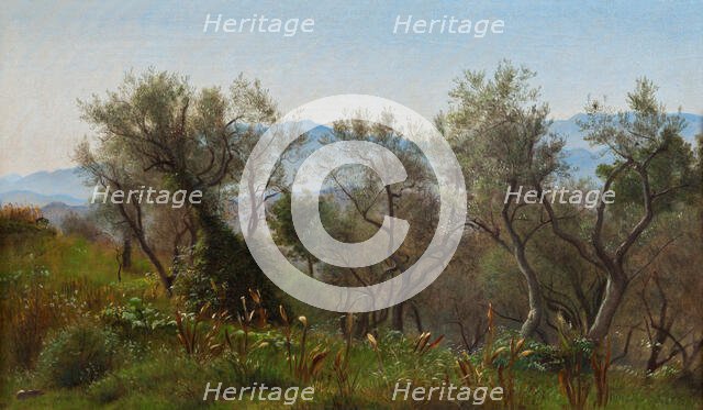 Olive Trees near Olevano, 1869. Creator: Peter Christian Thamsen Skovgaard.