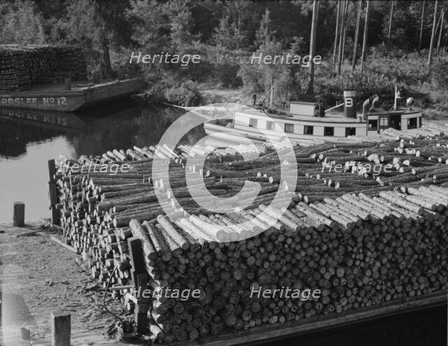 Pulp wood going down the River Styx to Mobile by inland waterway near Robertsdale, Alabama, 1937. Creator: Dorothea Lange.