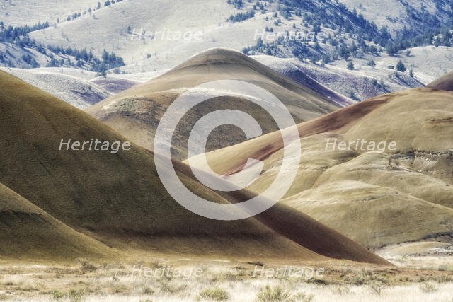 Exposing History. Creator: Joshua Johnston.