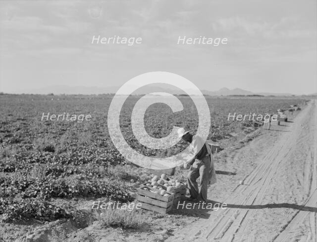 Mexican cantaloupe worker at 5:00 am, Imperial Valley, California, 1938. Creator: Dorothea Lange.