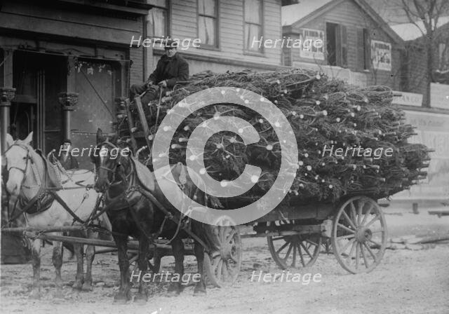 Load of Xmas trees, N.Y., between c1910 and c1915. Creator: Bain News Service.