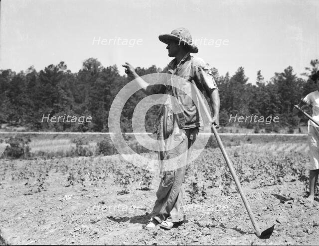 Alabama tenant farmer near Anniston, Alabama, 1936. Creator: Dorothea Lange.